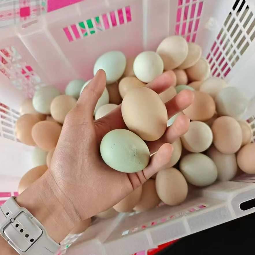 土鸡蛋
